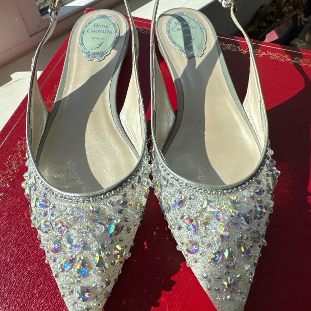 Rene Caovilla Cinderall flats